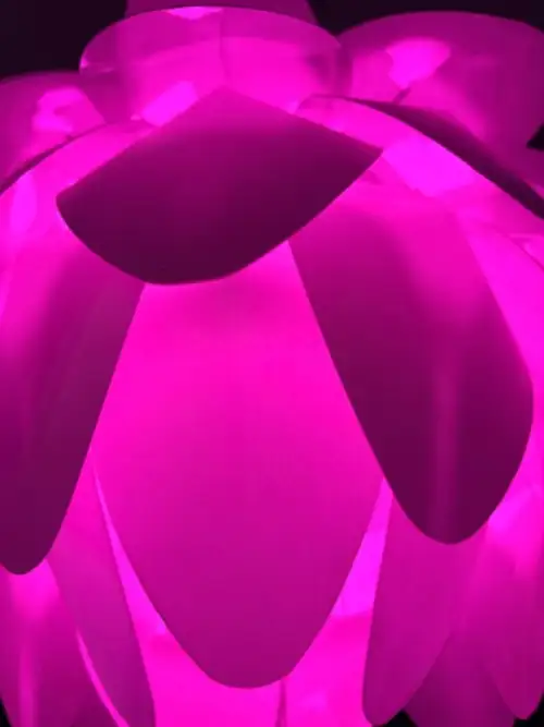 Lampe Champignon Rose Tactile
